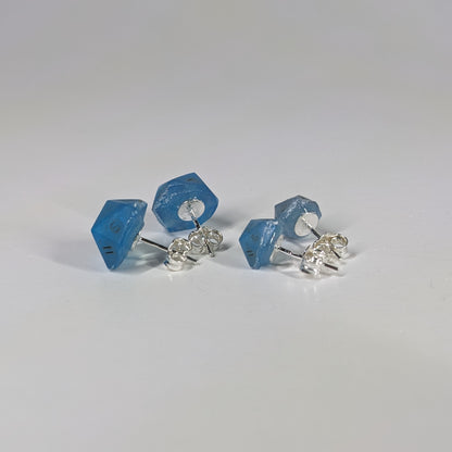 Blue Dragon Stud Earrings Sterling Silver