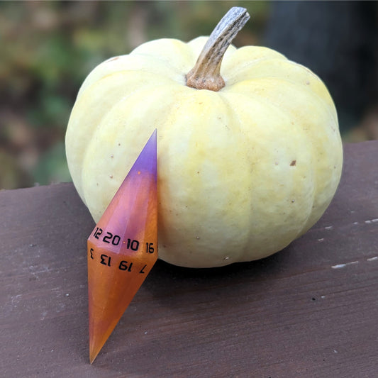 A dagger style d20 that is orange and purple with black numbers sits in front of a small, white pumpkin propped up on its point.