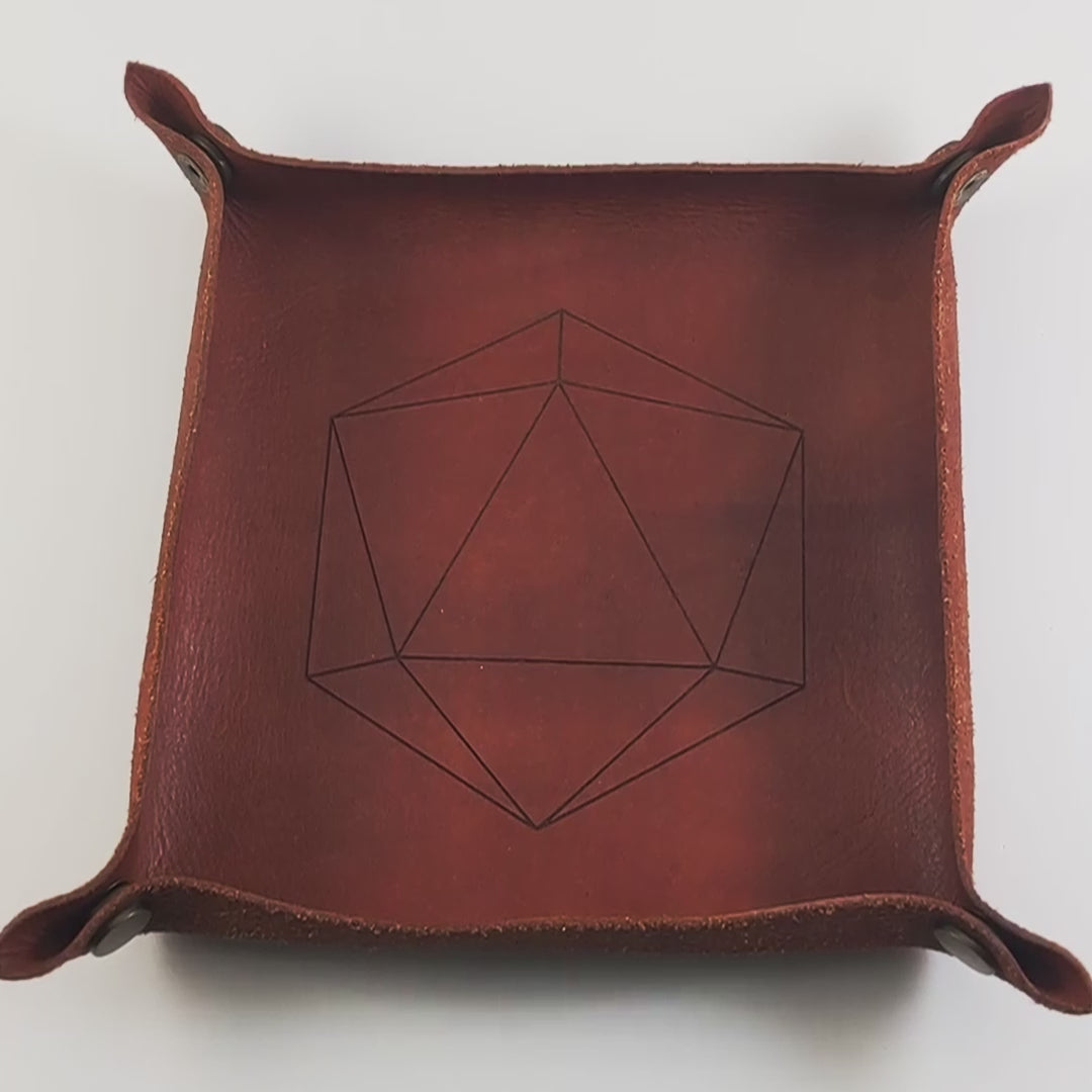 The video starts with a brown leather dice tray in view that has a d20 shape lasered into it. A hand appears from the bottom holding a complete set of bold red polyhedral dice except for the crystal d4 with gold numbers. The hand rolls all of the dice into the tray from the right.