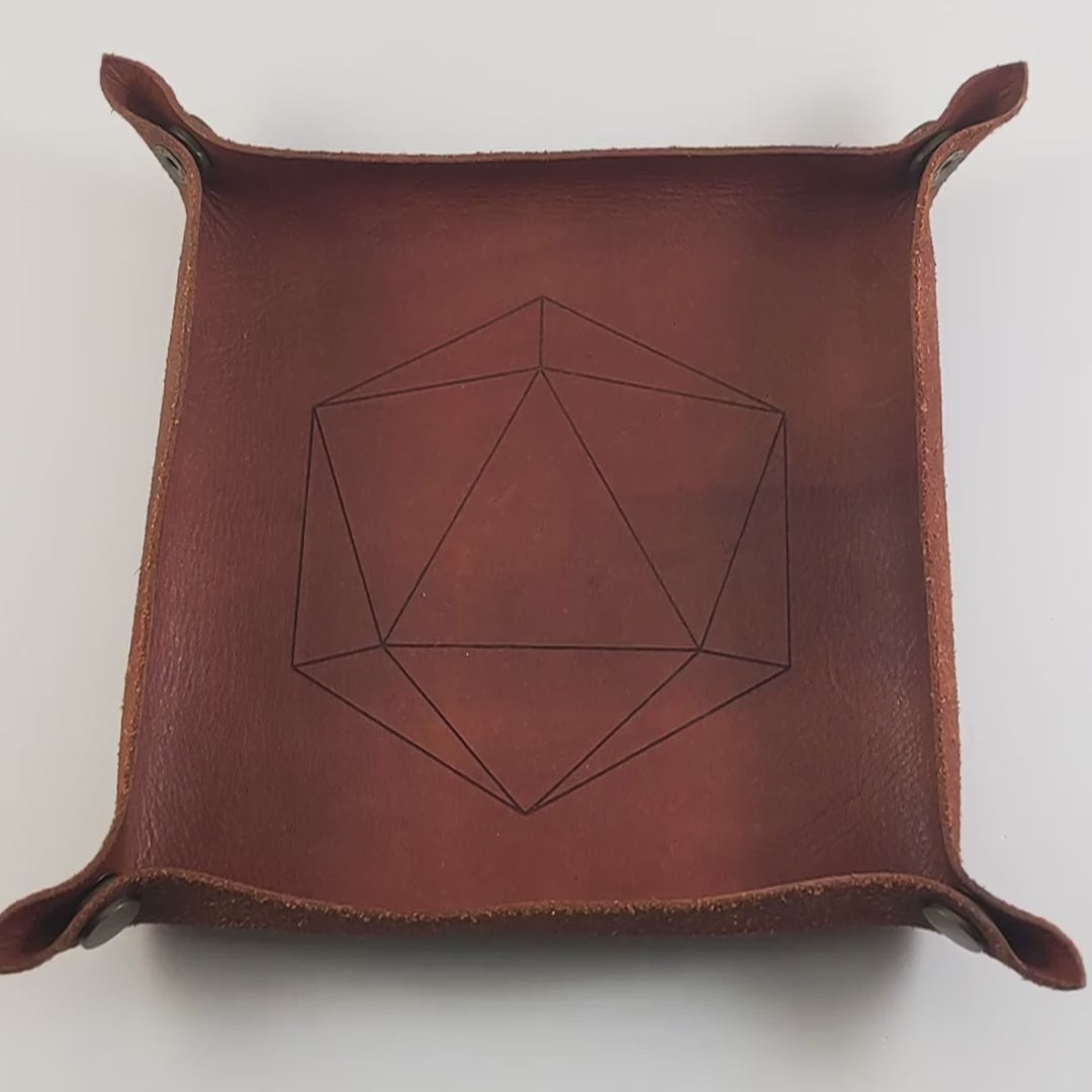 The video starts with a brown leather dice tray in view that has a d20 shape lasered into it. A hand appears from the bottom holding a complete set of rich blue polyhedral dice except for the crystal d4 with gold numbers. The hand rolls all of the dice into the tray from the right.