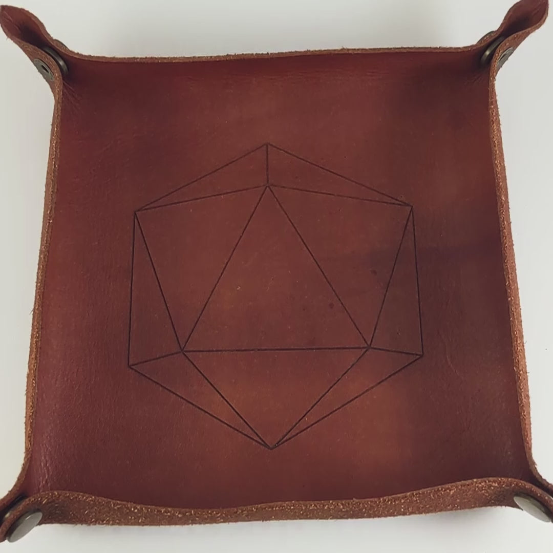 The video starts with a brown leather dice tray in view that has a d20 shape lasered into it. A hand appears from the bottom right corner holding a complete set of dagger dice that are venomous green with hints of silver like a poisoned blade with black numbers. The hand rolls all of the dice into the tray from the right.
