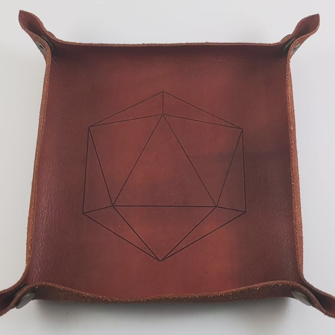 The video starts with a brown leather dice tray in view that has a d20 shape lasered into it. A hand appears from the bottom right corner holding a pair of pink d12s, one with gold numbers and one with black numbers. The hand rolls the dice into the dice tray from the right.