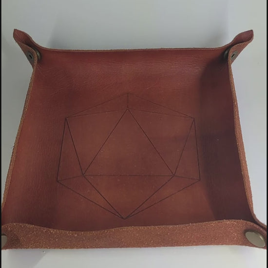 The video starts with a brown leather dice tray in view that has a d20 shape lasered into it. A hand appears from the bottom right corner holding a complete set of polyhedral dice that are blue and purple with gray numbers. The hand rolls all of the dice into the tray from the right.