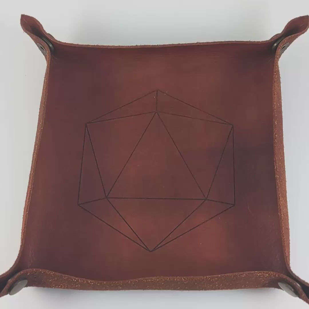 The video starts with a brown leather dice tray in view that has a d20 shape lasered into it. A hand appears from the bottom right corner holding a dagger d3 that is purple and green with black numbers that glow in the dark. The hand rolls all of the dice into the tray from the right.