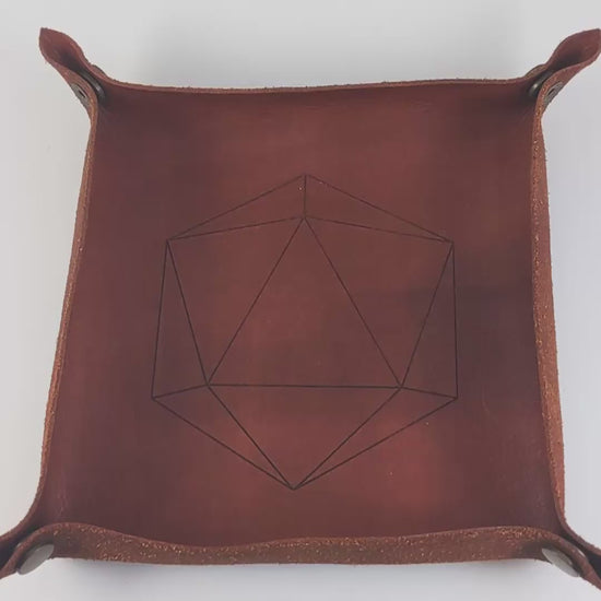The video starts with a brown leather dice tray in view that has a d20 shape lasered into it. A hand appears from the bottom right corner holding a diamond d3 that is black and green with purple numbers that glow in the dark. The hand rolls all of the dice into the tray from the right.