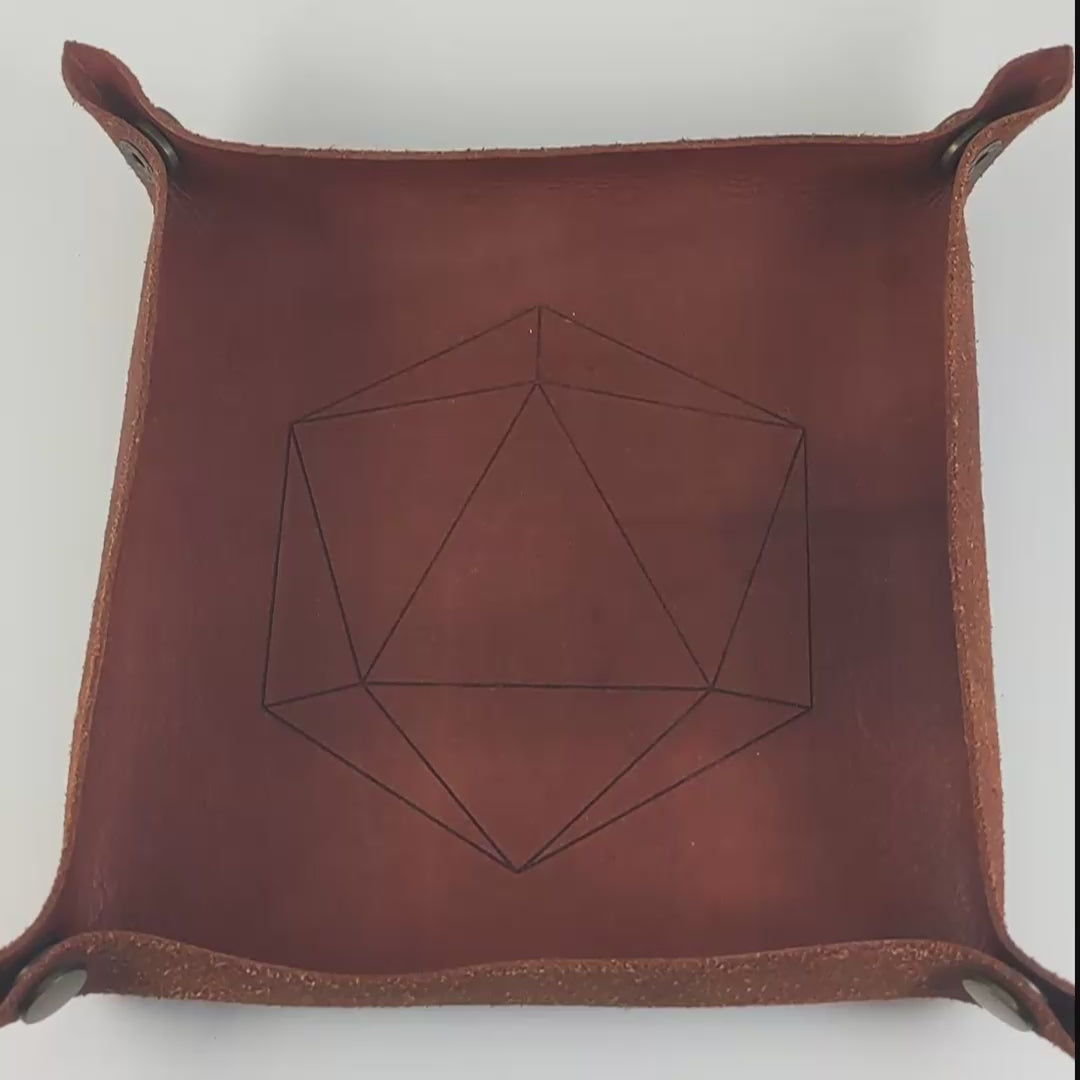 The video starts with a brown leather dice tray in view that has a d20 shape lasered into it. A hand appears from the bottom right corner holding a dagger d3 that is black and green with orange numbers that glow in the dark. The hand rolls all of the dice into the tray from the right.